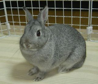 ん?