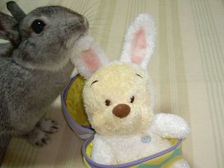 すりすり♪