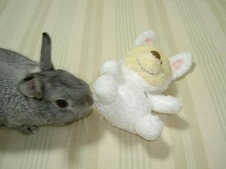 つんつん♪