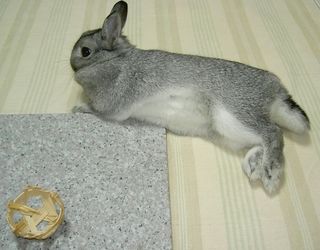 ひんやり〜♪