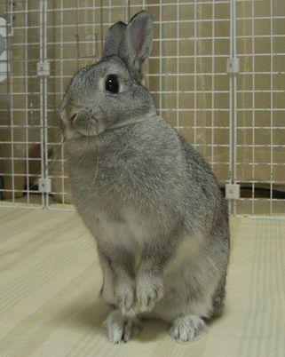 ぺこり♪