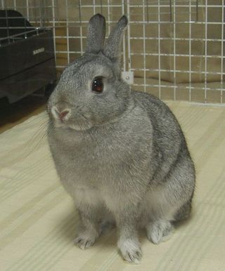 ん?