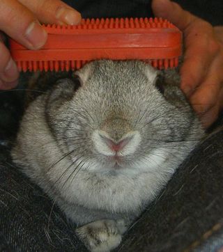 むぅ…