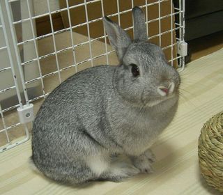 えっへん♪