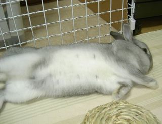 ふ〜♪