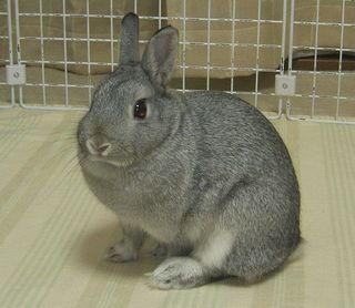 ん?