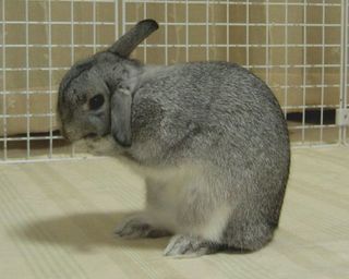 きれいきれい♪