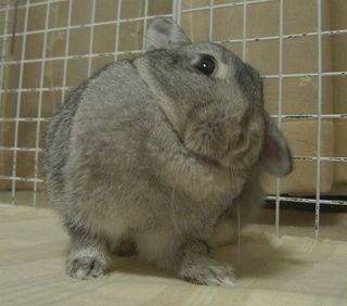 かいかい♪