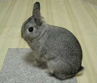 ふんふん♪