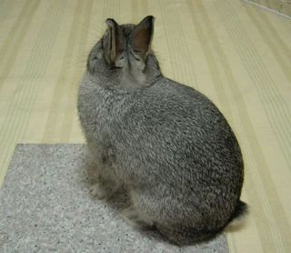 きょろきょろ♪