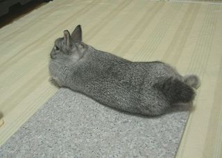 むぅ…