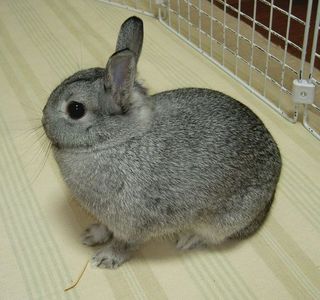 むぅ…♪