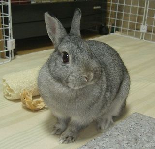 ん?