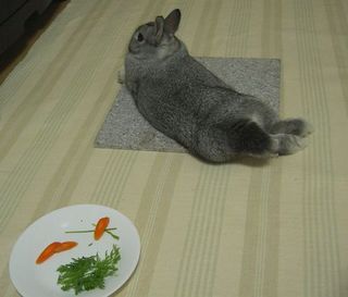 しらないフリ♪