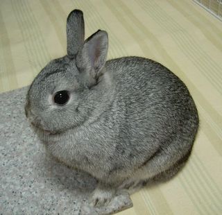 ん?