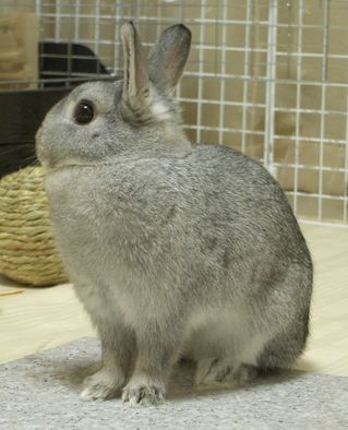 んん?