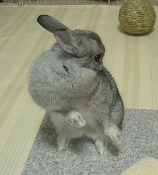 いえ〜い♪