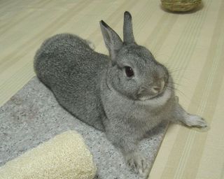 ん?