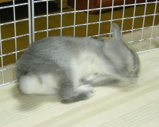 ひょいっ♪