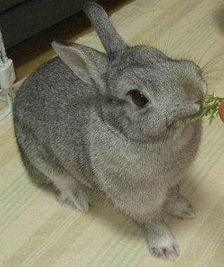 がぶがぶっ♪