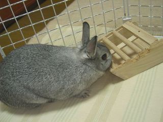 どきなさいよ♪