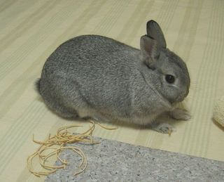 ふむふむ♪