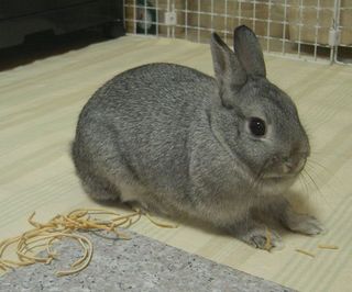 ふむふむふむ♪