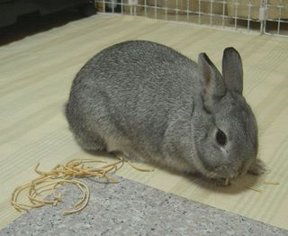 ふむふむふむふむ♪