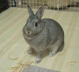 あのね〜♪