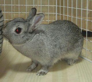 つんつん♪