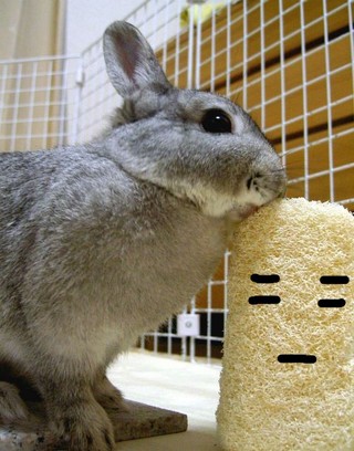 がぶっ♪