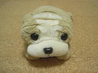 おひさ〜♪