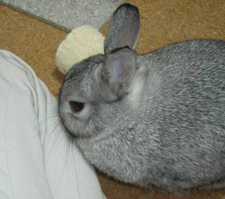 つんつん♪