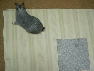 ふんふん♪