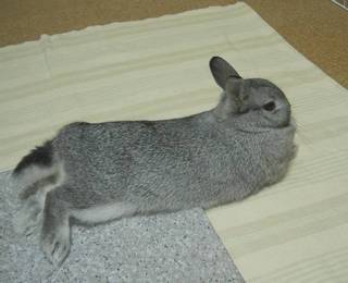 ひんやり♪