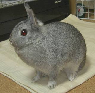むぅむぅ♪