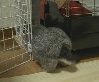 どきどき♪