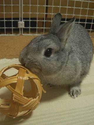 がじがじ♪