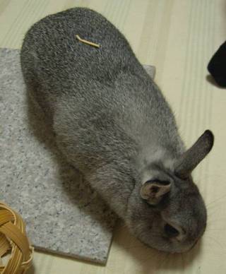 ん?