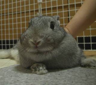 むぅむぅ♪
