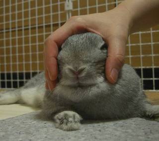 む…