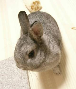 てけてけ〜♪