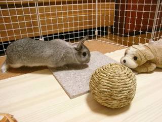 こんにちは♪