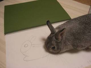 くんくん♪
