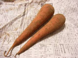 土付きです♪