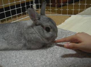 むぅ♪