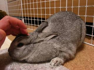 むぅ♪