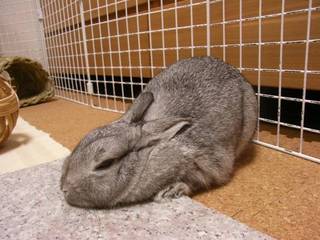 とろ〜ん♪
