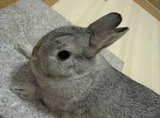 むぅむぅ♪