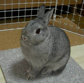 ん?